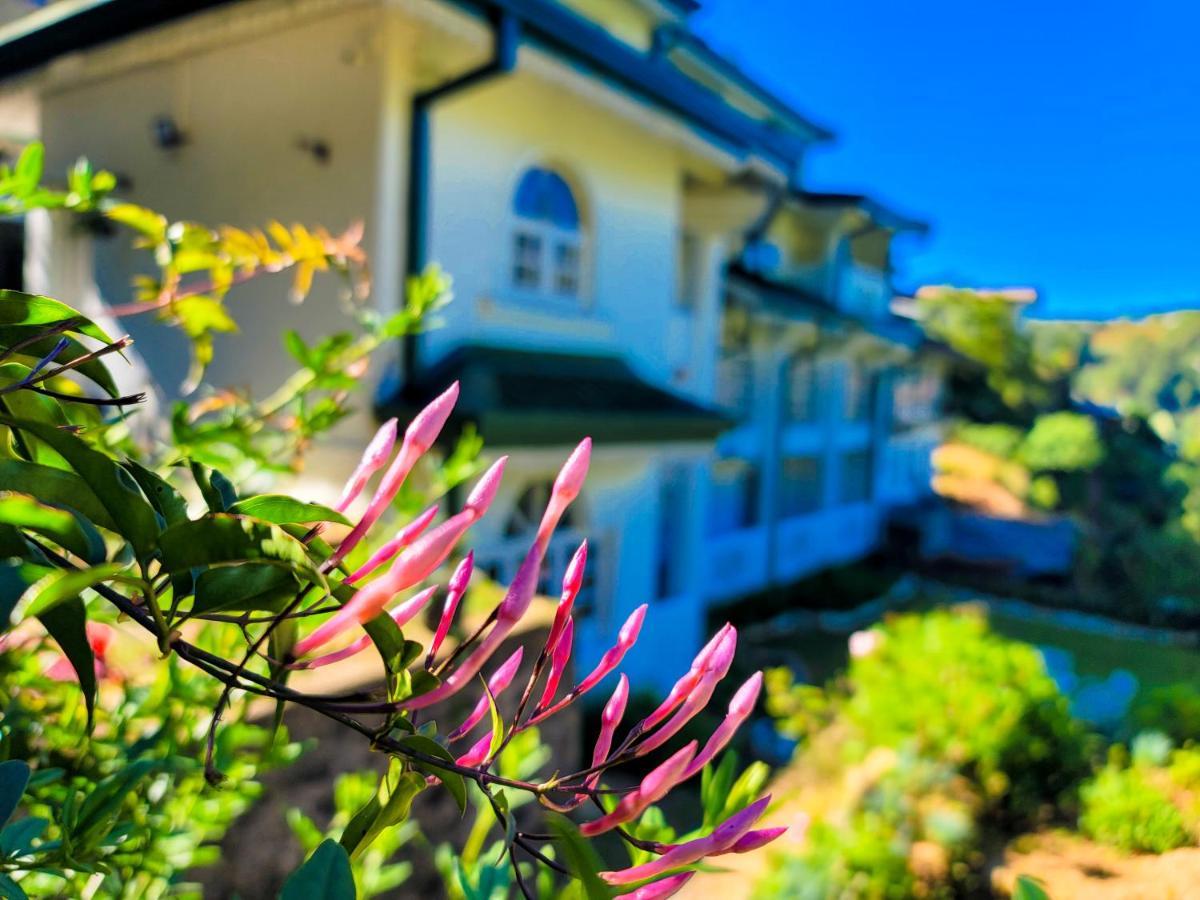 Hotel Notre Dame D'Arcadia Nuwara Eliya Zewnętrze zdjęcie