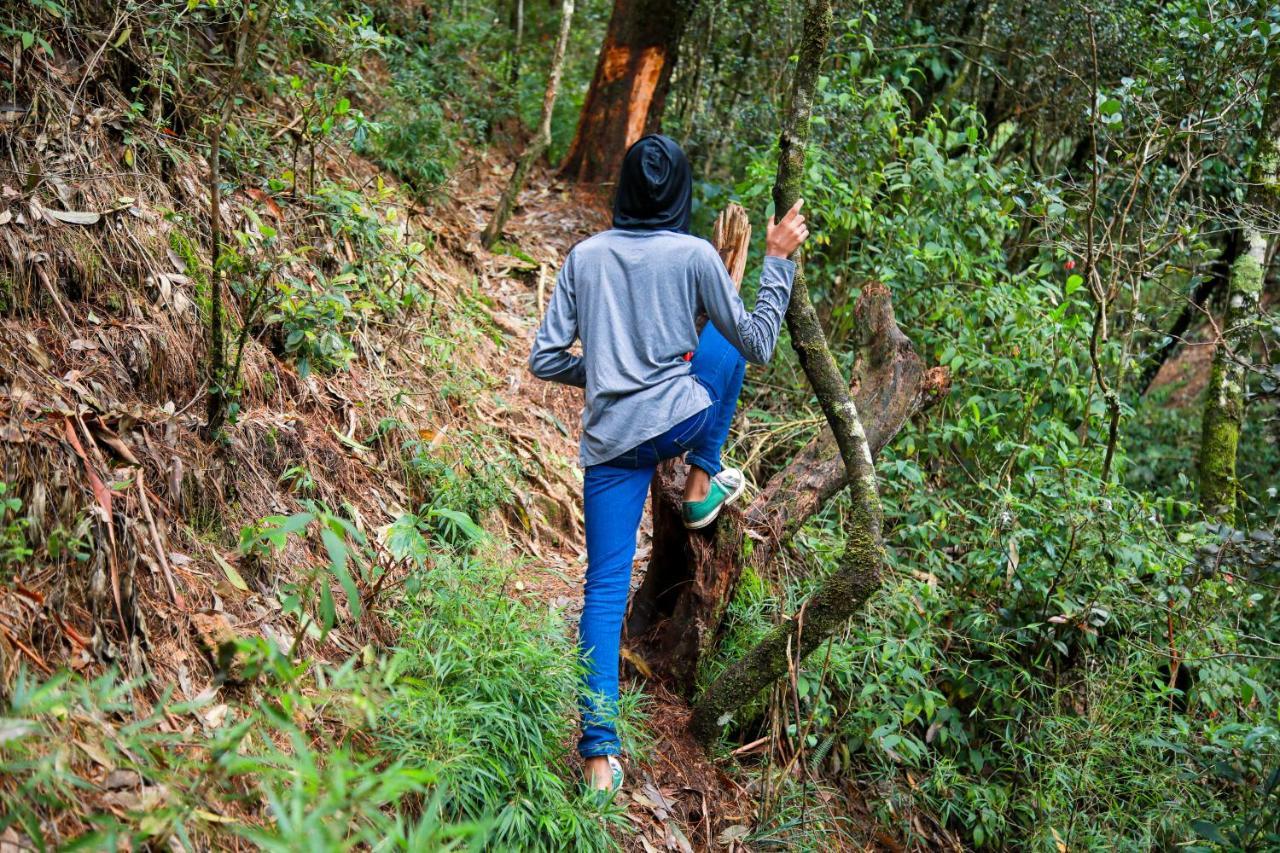 Hotel Notre Dame D'Arcadia Nuwara Eliya Zewnętrze zdjęcie