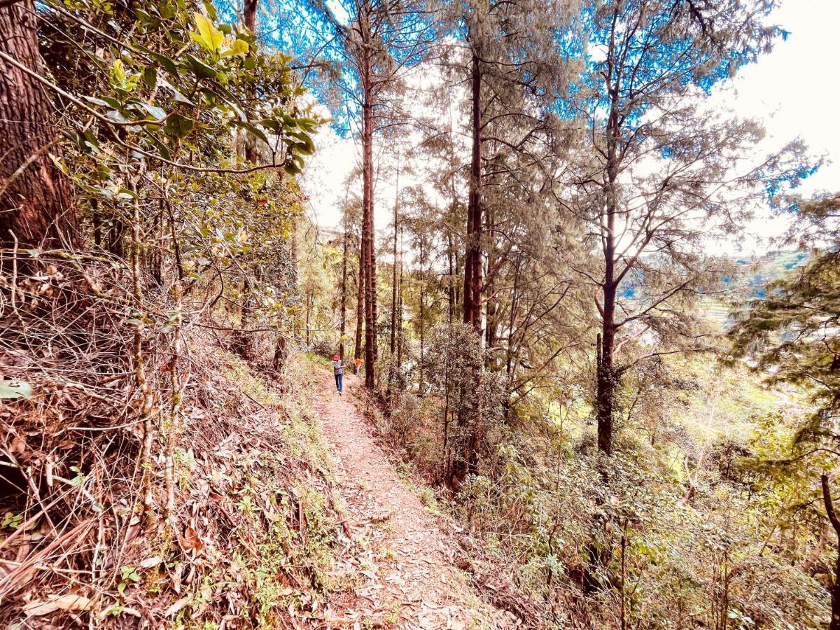 Hotel Notre Dame D'Arcadia Nuwara Eliya Zewnętrze zdjęcie