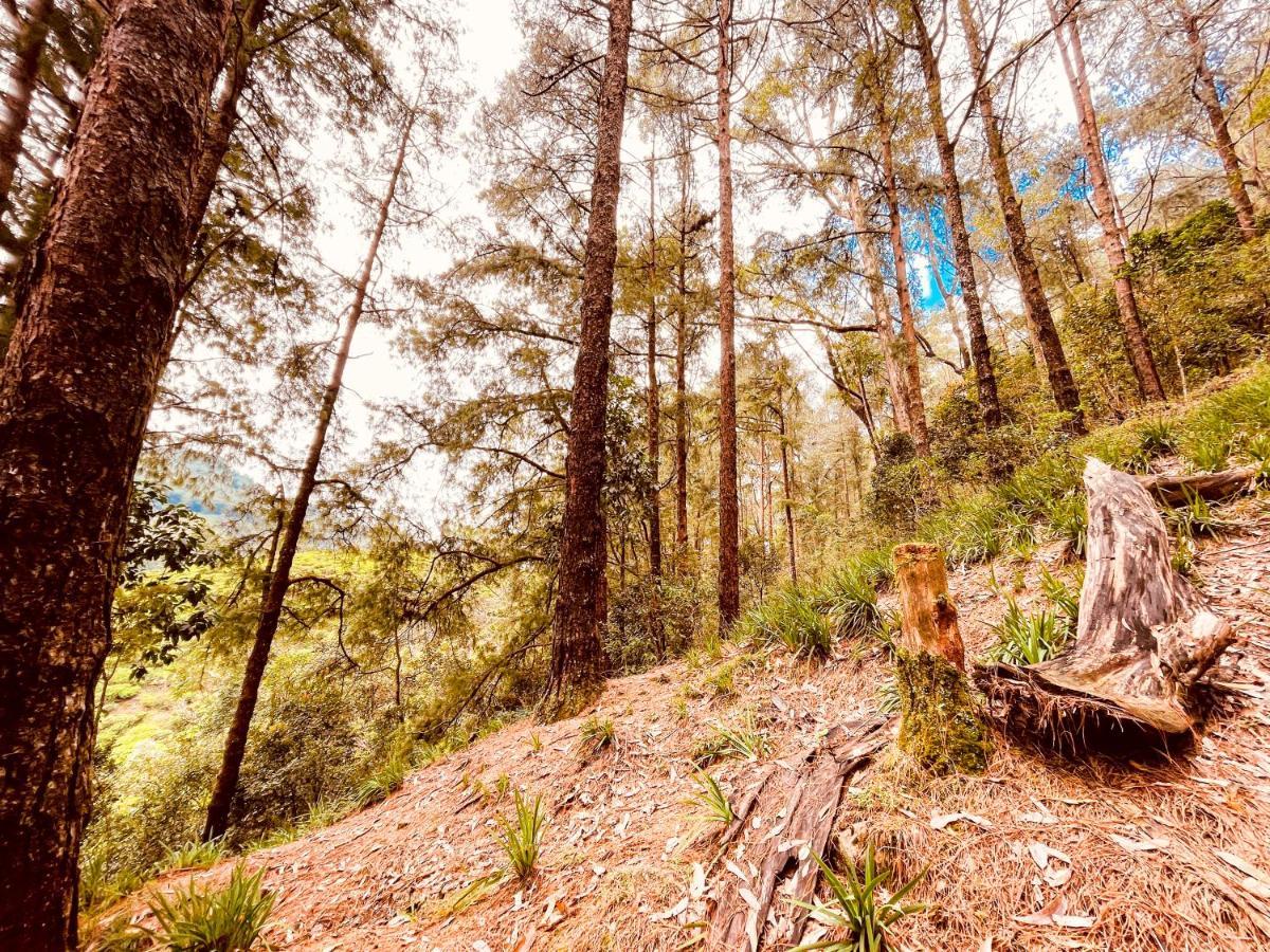 Hotel Notre Dame D'Arcadia Nuwara Eliya Zewnętrze zdjęcie